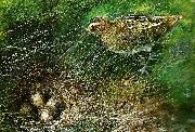 bruno liljefors beckasin oil painting reproduction